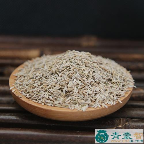 中药材白苣图片