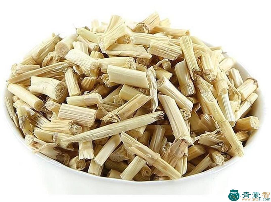 白茨根的性味归经以及功效用法和注意事项-青囊智