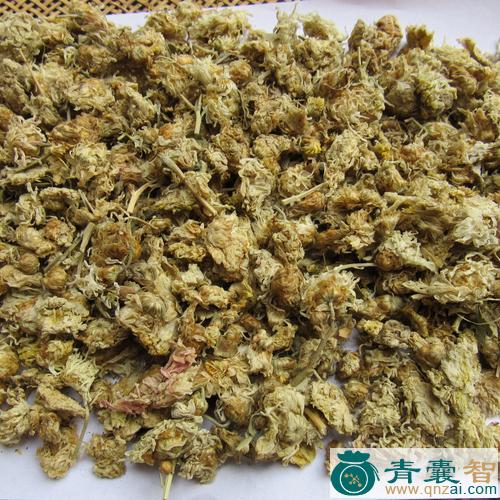中药材白菊花图片