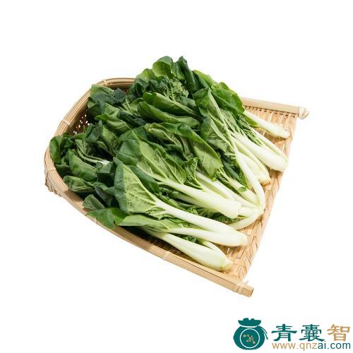 中药材白菜仔图片