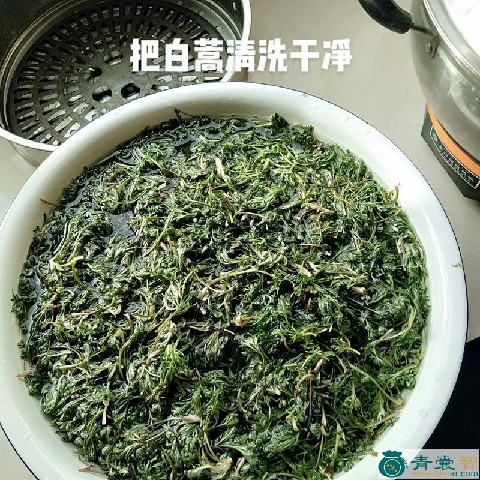 中药材白蒿茶图片