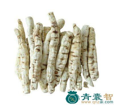 中药材白赖洋古图片