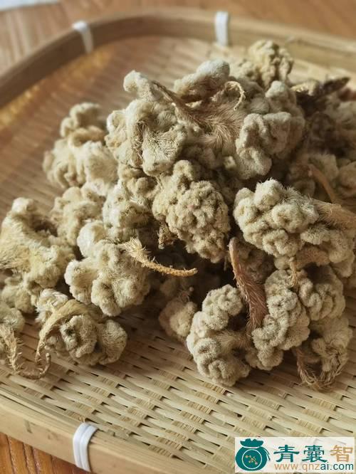 中药材白面花图片