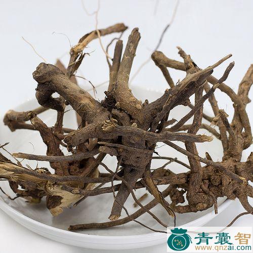 白面风的性状性味归经以及功效用法和注意事项-青囊智