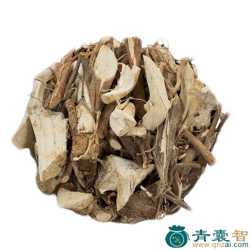 中药材白顶草图片