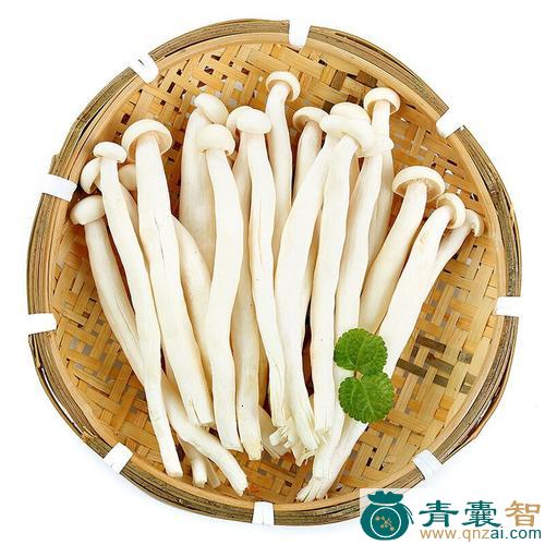 中药材白香菇图片