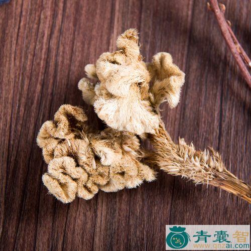 中药材白鸡公尾图片