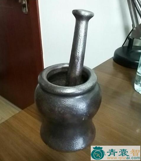 中药材百尺杵图片