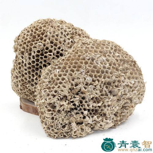 中药材百穿之巢图片