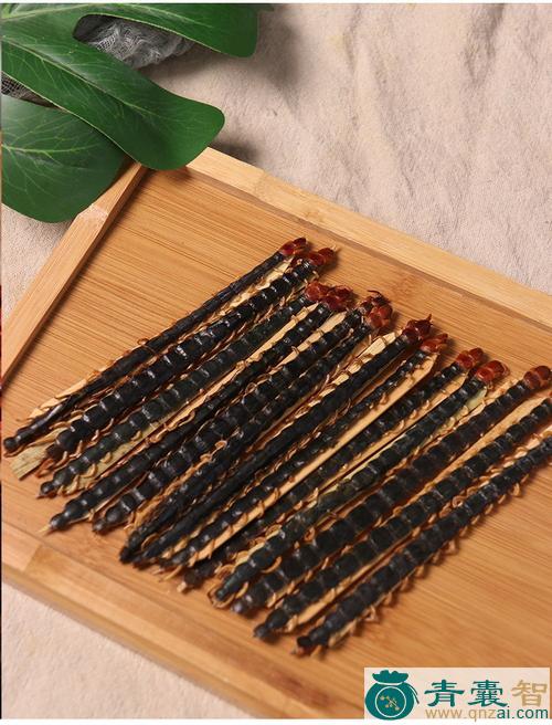 中药材百脚蜈蚣图片