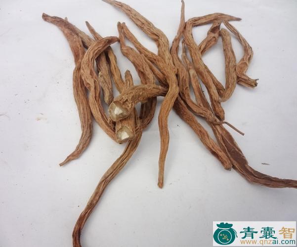 中药材百蜷图片