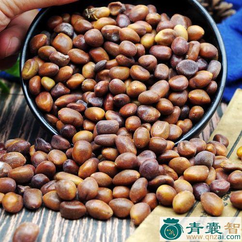 皂角子的性状性味归经以及功效用法和注意事项-青囊智