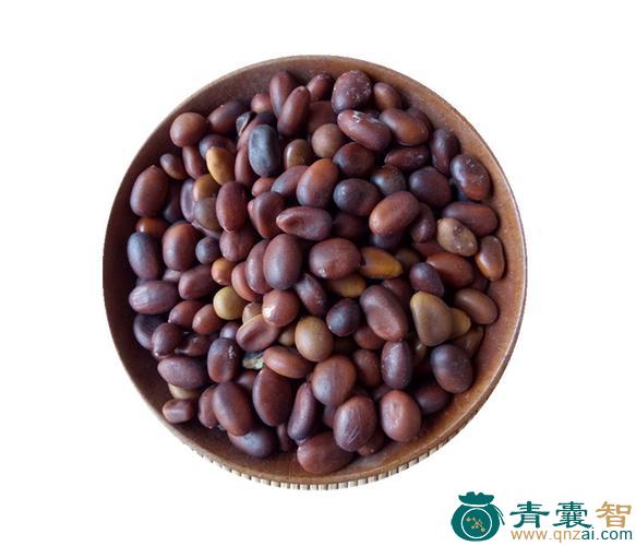 中药材皂角核图片