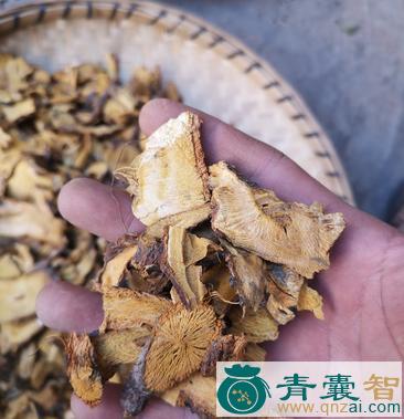 中药材皮虎怀图片