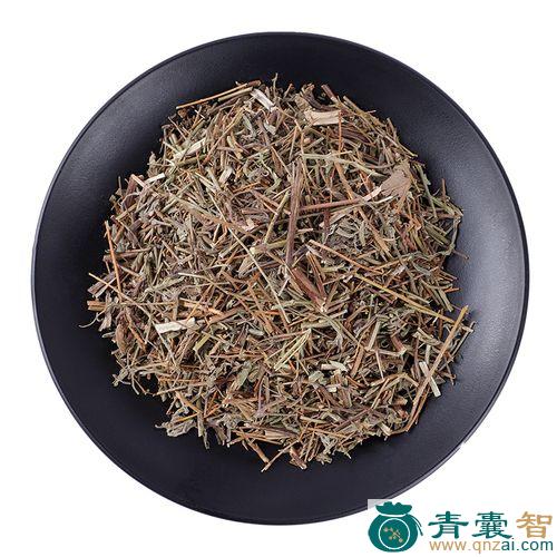 皱叶香薷的性味归经以及功效用法-青囊智