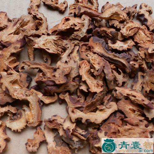 中药材皱纱皮图片