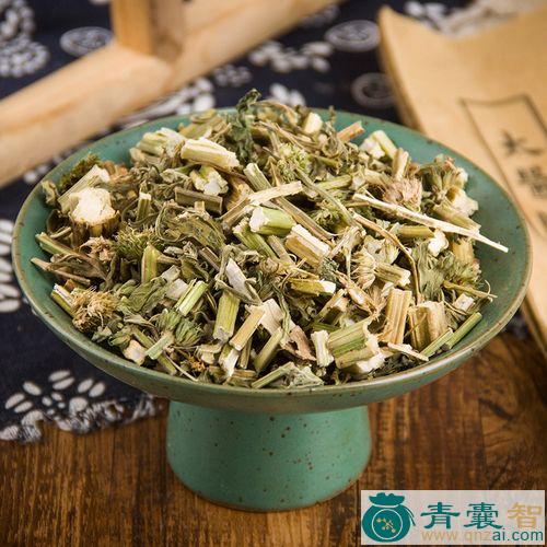中药材益母蒿图片