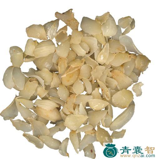 盍合子的性味归经以及功效用法和注意事项-青囊智