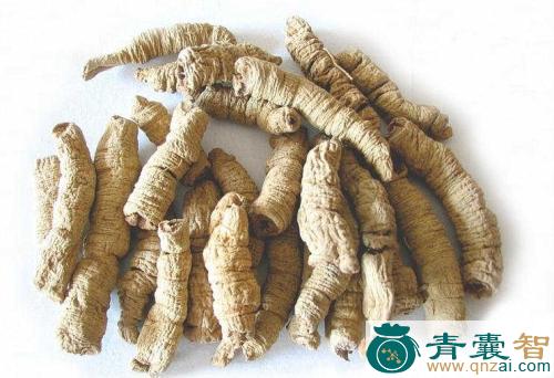 中药材盐布根图片