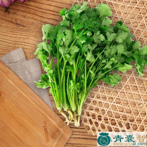 中药材盘上芫茜图片