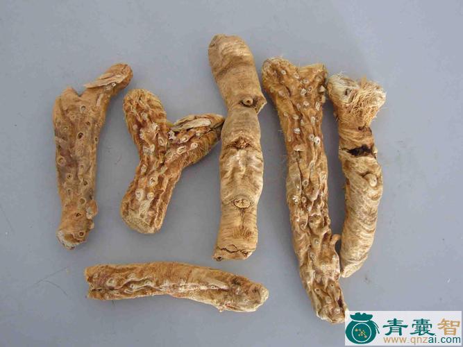 中药材相枕刺图片