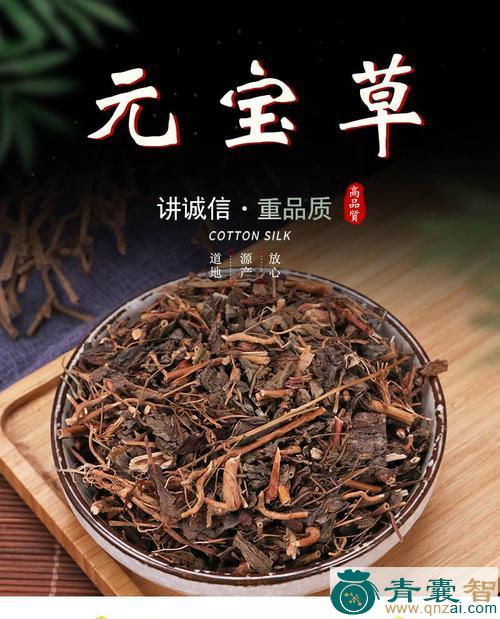 省订草的性状性味归经以及功效用法和注意事项-青囊智