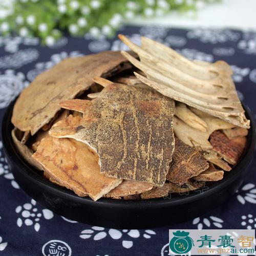 真甲鲸的性状性味归经以及功效用法和注意事项-青囊智