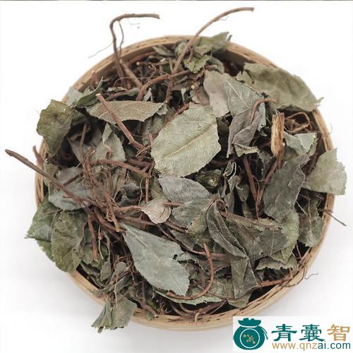 中药材矮地茶图片