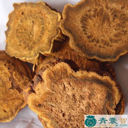 中药材矮大黄图片