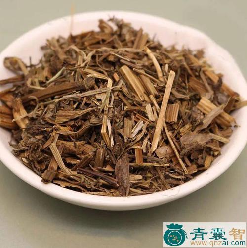 中药材矮白菜图片