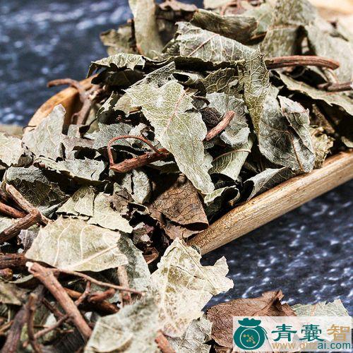 中药材矮茶图片