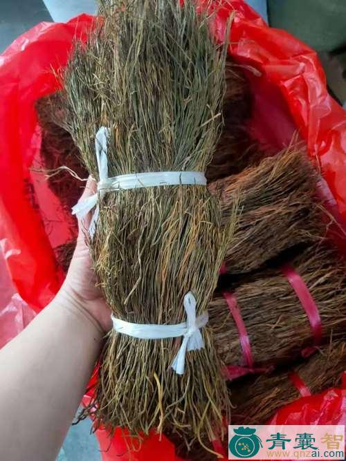 中药材石刷把图片