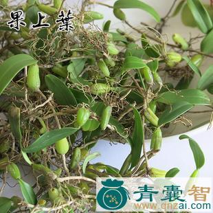 中药材石思仙图片