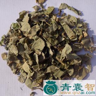 中药材石戎芦茶图片