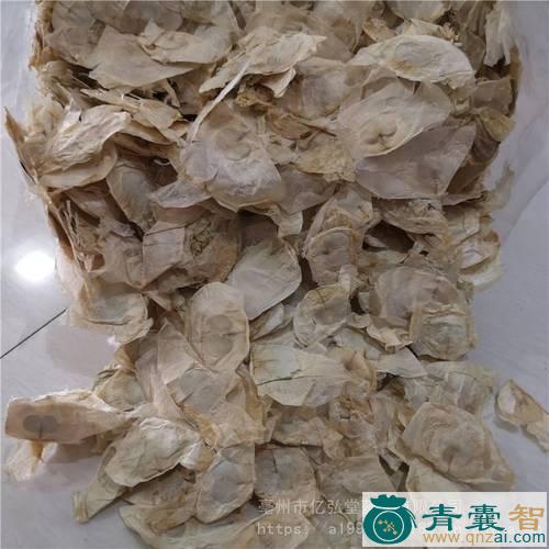 中药材石故纸图片