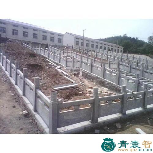 中药材石栏干图片