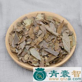 中药材石栗叶图片