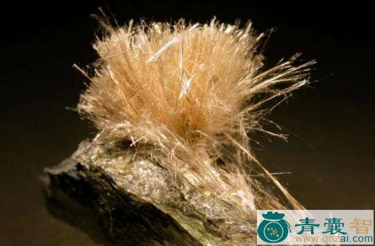 中药材石棉图片