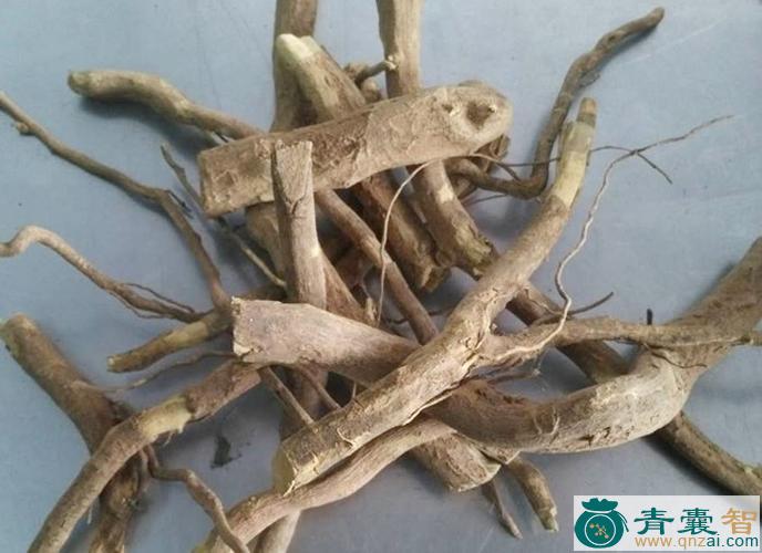 中药材石榴树根图片