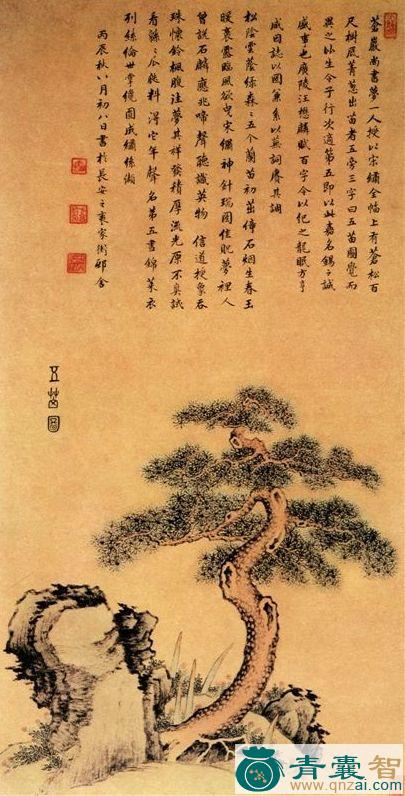 中药材石烟图片