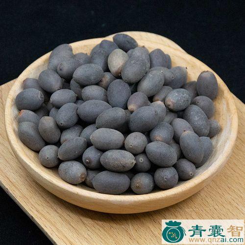 中药材石瓜子莲图片