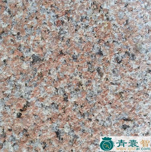 石腊红的性味归经以及功效用法-青囊智