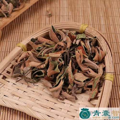 中药材石苏图片