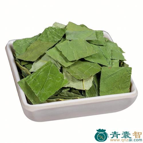 中药材石荷叶图片