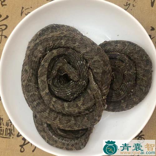 中药材石蛇图片