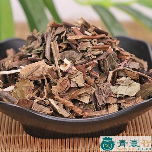 石见穿的性状性味归经以及功效用法-青囊智