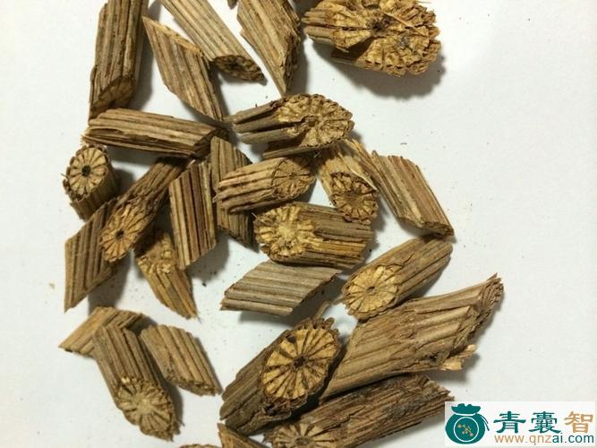 石通的性状性味归经以及功效用法和注意事项-青囊智