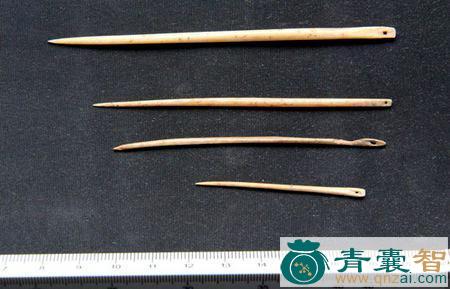 石针的性味归经以及功效用法-青囊智