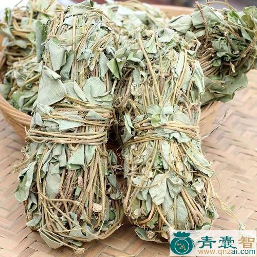 中药材石钱草图片