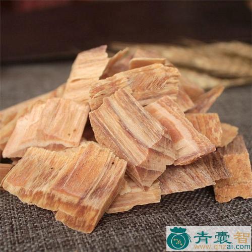 中药材矶松图片